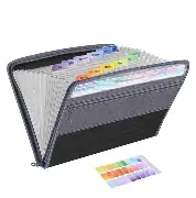 Accordion/Expanding File